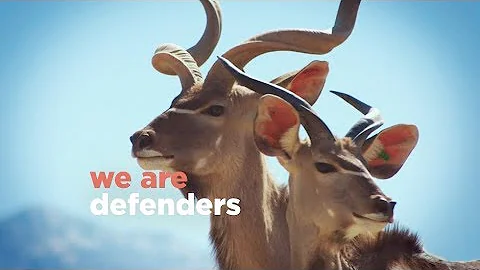 Protectors. Defenders. Proud to be an AZA-accredited zoo.