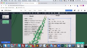 HTML - Giới thiệu các thẻ cơ bản trong Head