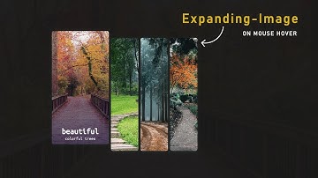 How To Create Expanding Image Gallery Using HTML And CSS | Expandable Card on Hover
