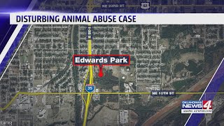 At least 4 drowned dogs found at metro pond