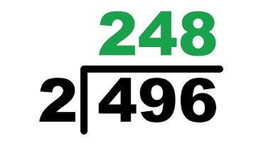 Staartdeling: 496 gedeeld door 2 | Stapsgewijze rekenles voor kinderen en beginners