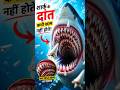 SHARK TEETH REGENERATION! #SHARK #viral