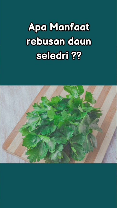 Manfaat Daun Rebusan Seledri #shorts #seledri