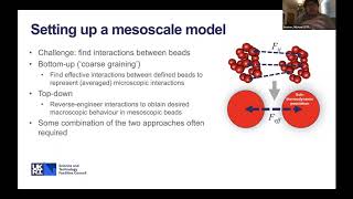 DL_MESO screenshot 5