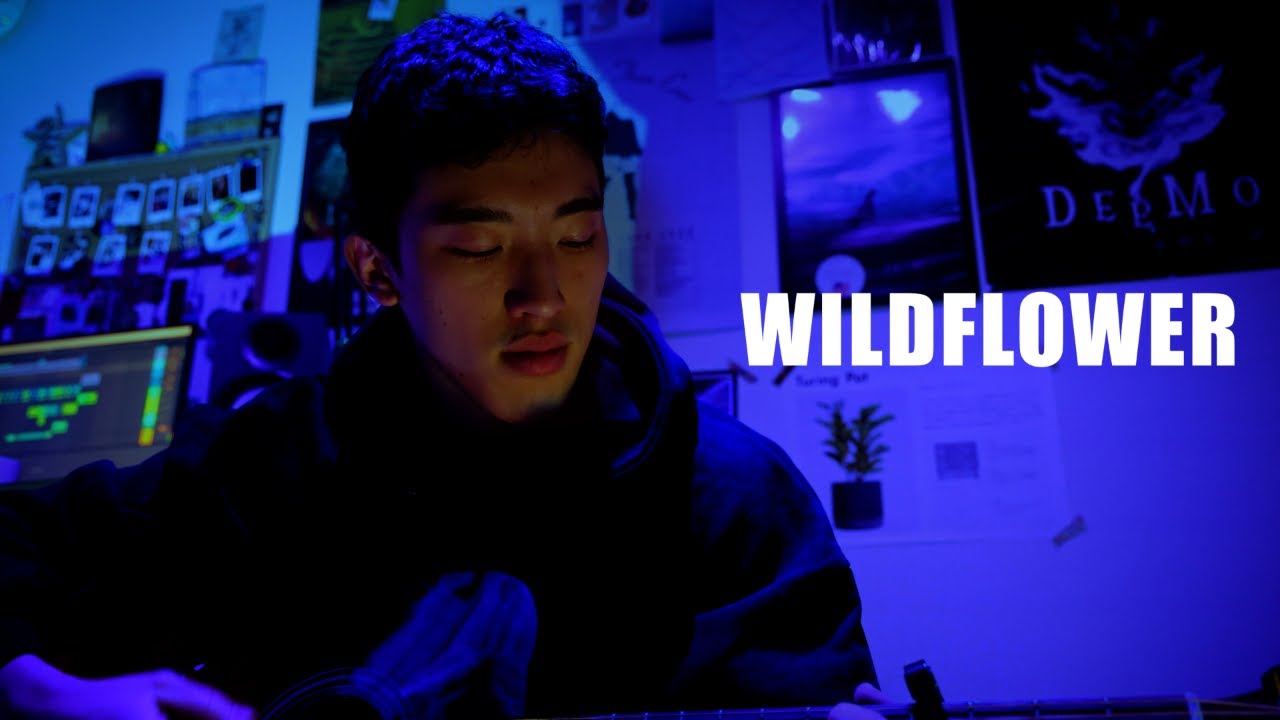 WILDFLOWER - Billie Eilish (Acoustic cover) WILDFLOWER - Billie Eilish (Acoustic cover)