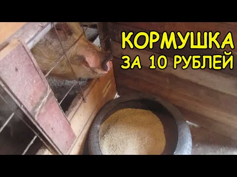 Кормушка для поросят своими руками