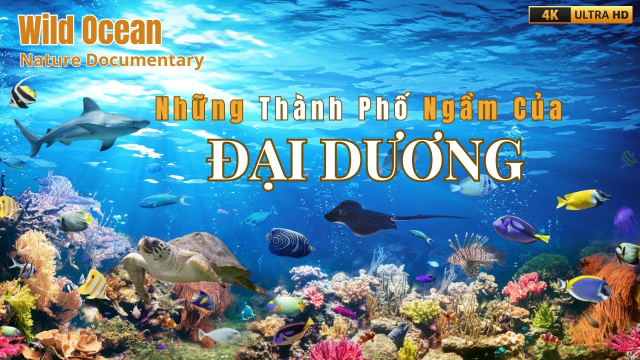 NHỮNG THÀNH PHỐ NGẦM CỦA ĐẠI DƯƠNG - WILD OCEAN #thegioidongvathoangda