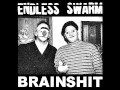 Endless Swarm - Split CS w/ Brainshit [2015]