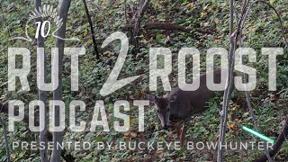 The Rut 2 Roost Podcast Episode 10 - Ohio Archey Opening Day Recap with John by Buckeye Bowhunter 103 views 7 months ago 53 minutes