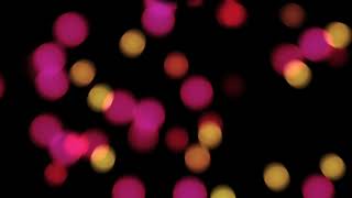 Relaxing Bokeh Glowing Lights | Screensaver & Piano Music | Night Light | 8 Hours screenshot 4