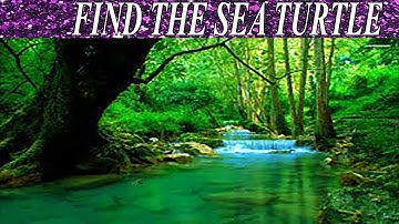 Can You Find The Hidden Objects | 99% Fail | New Game | Brain Teaser | Mind Booster