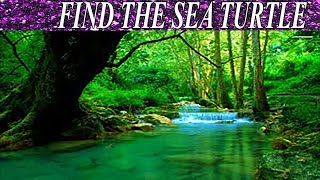 Can You Find The Hidden Objects | 99% Fail | New Game | Brain Teaser | Mind Booster
