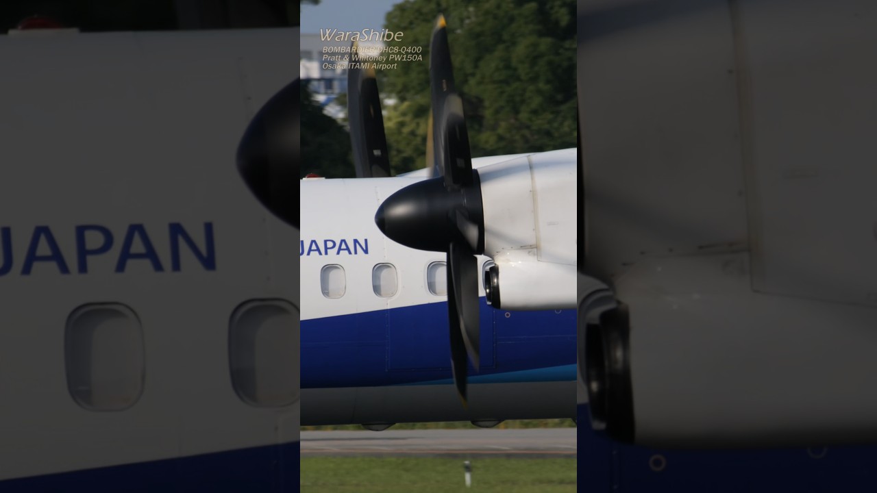 The Dash 8 Sprint: Powerful Takeoff | ANA Bombardier DHC-8-Q400