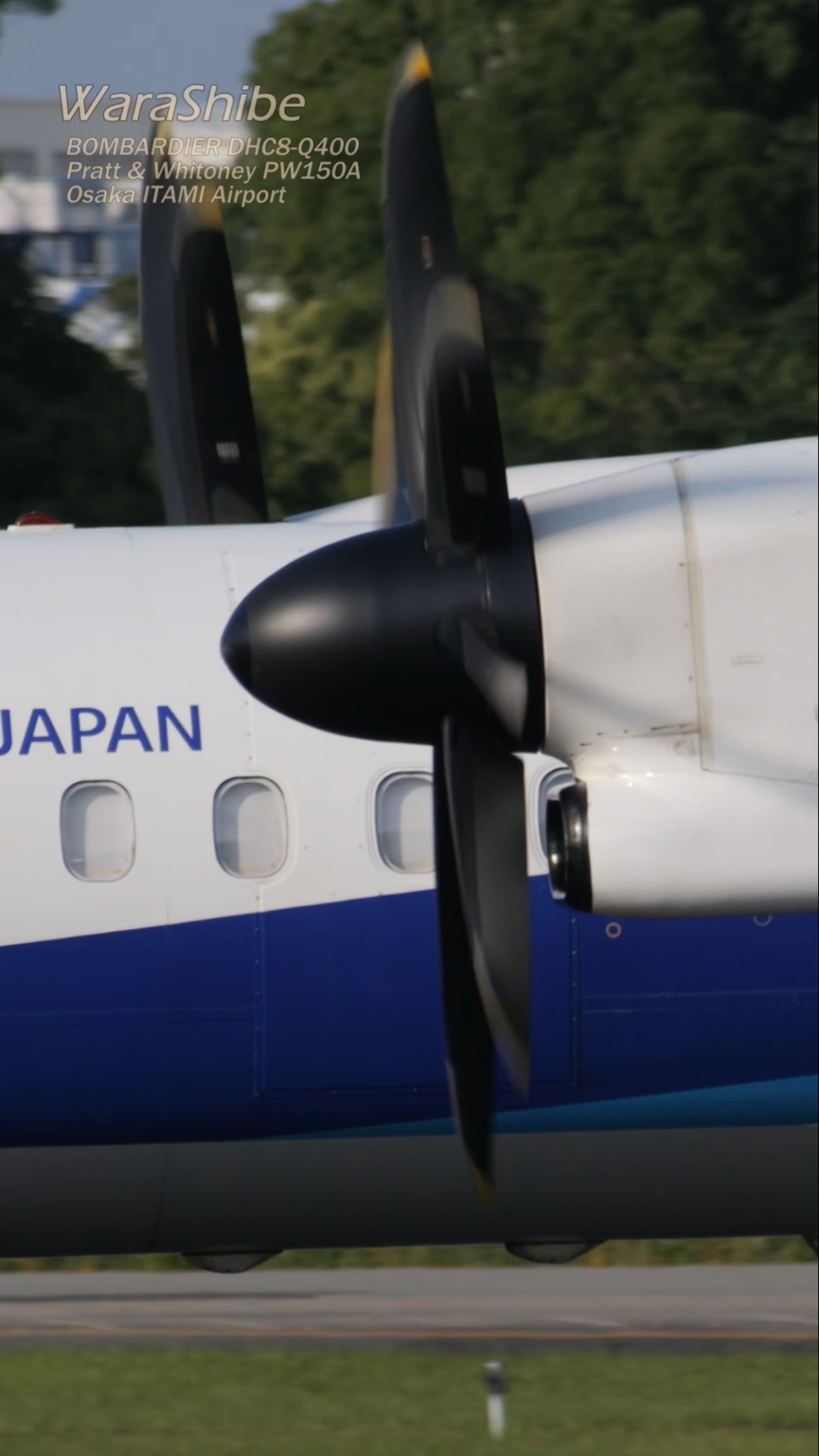 The Dash 8 Sprint: Powerful Takeoff | ANA Bombardier DHC-8-Q400