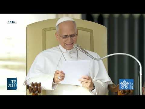 Video Papa Leone torna in udienza: promuovere la famiglia. La vita concepita va protetta
