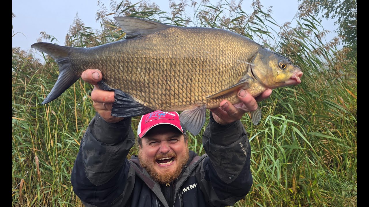 Varkaļu kanāla BIG game edition. Ļooooti daudz info un noderīgu lietu. Brekši, Zandarti, līnis, sami