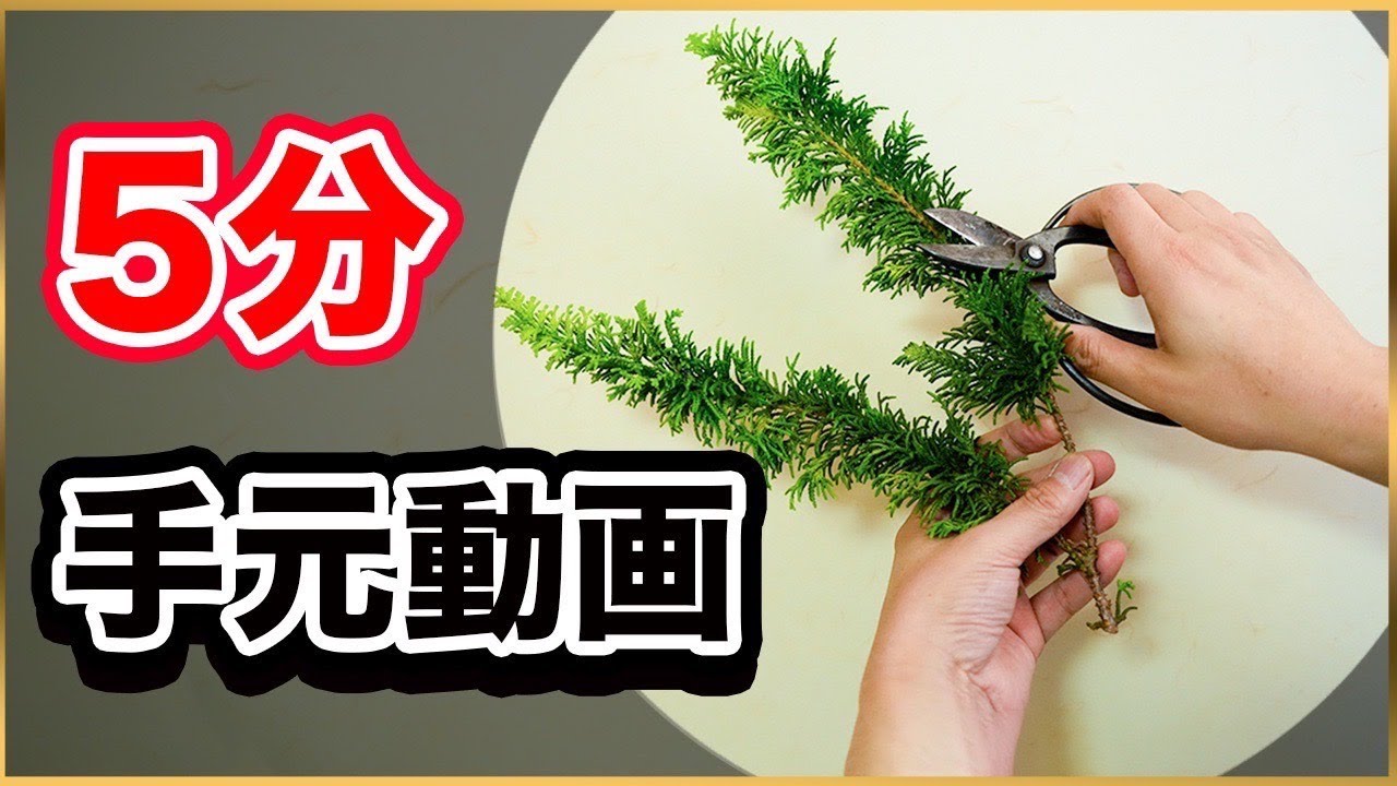手さばき】5分でわかる華道家ならではの生け方！ - YouTube
