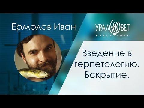 Введение в герпетологию. Демонстрация вскрытия. Ермолов Иван