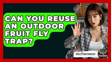 Can You Reuse An Outdoor Fruit Fly Trap? - Insects and Invaders