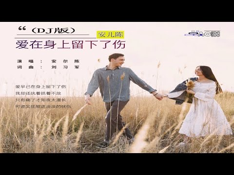 安儿陈 - 爱在身上留下了伤 (DJ版)