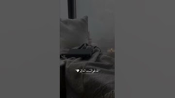 أُكتب شيء تؤجر عليه.#سورة_يوسف #محمد_هشام