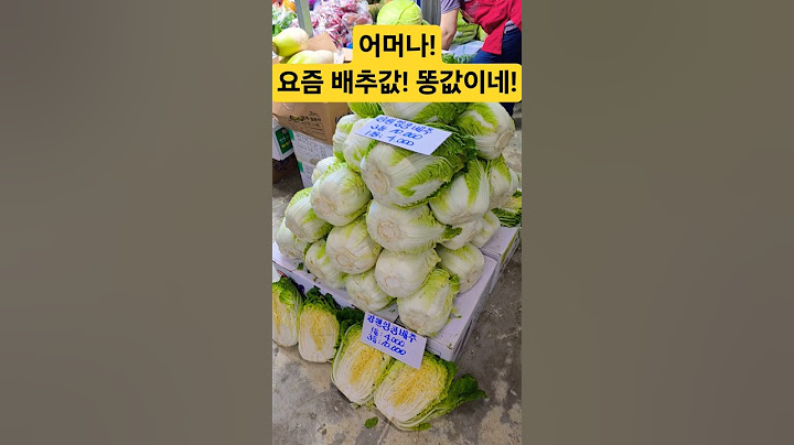 요즘 배추값! 완전 똥값이네! 미쳐! #시장 #맛집 #배추 #김치 #먹방