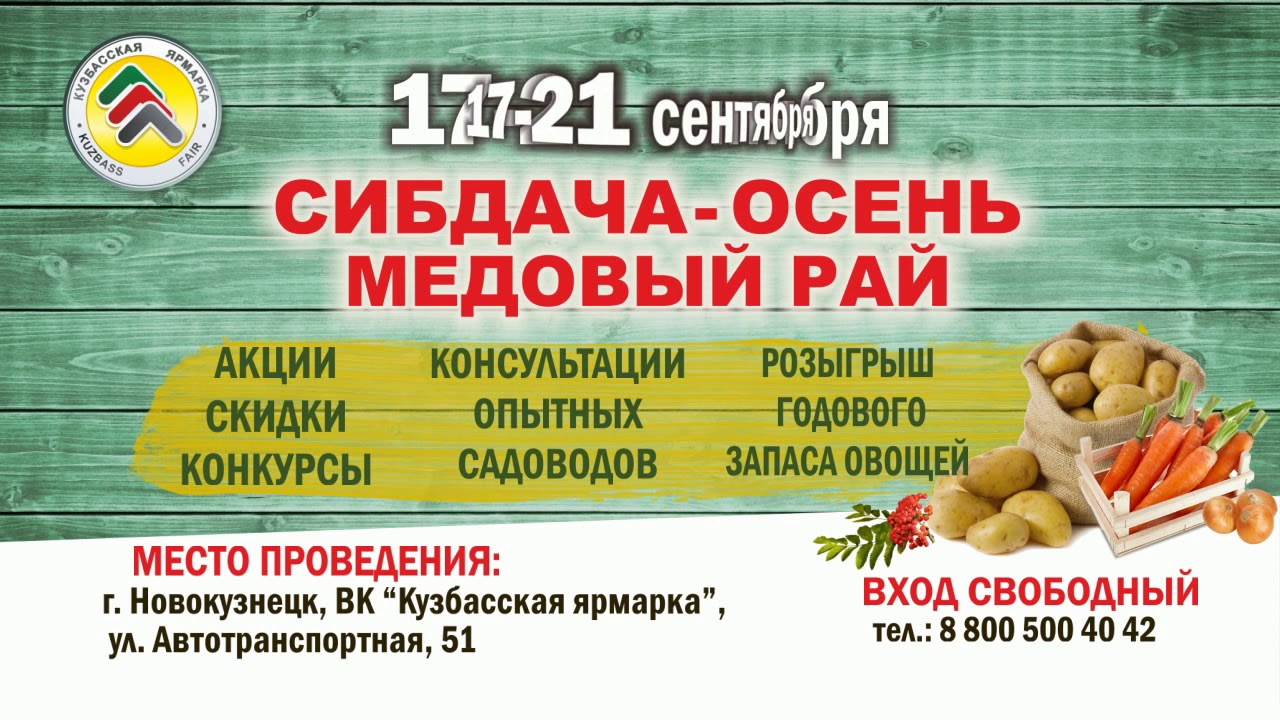 Магазин Сибдача В Новокузнецке