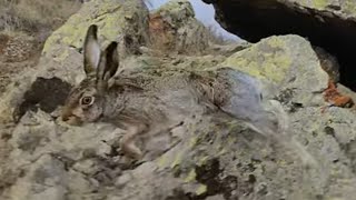 İzlemeyen Çok Pi̇şman Olur.