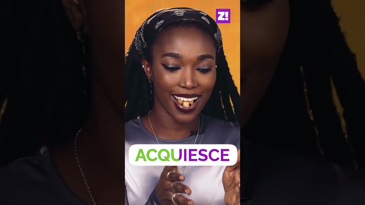 Sheldon Explica El Problema De La Mesa Del Comedor Shorts - YouTube Auto PHP Script