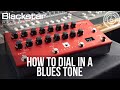 How to Dial in a Blues Tone with Amped 2 | Blackstar Potential Lessons
