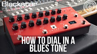 How to Dial in a Blues Tone with Amped 2 | Blackstar Potential Lessons