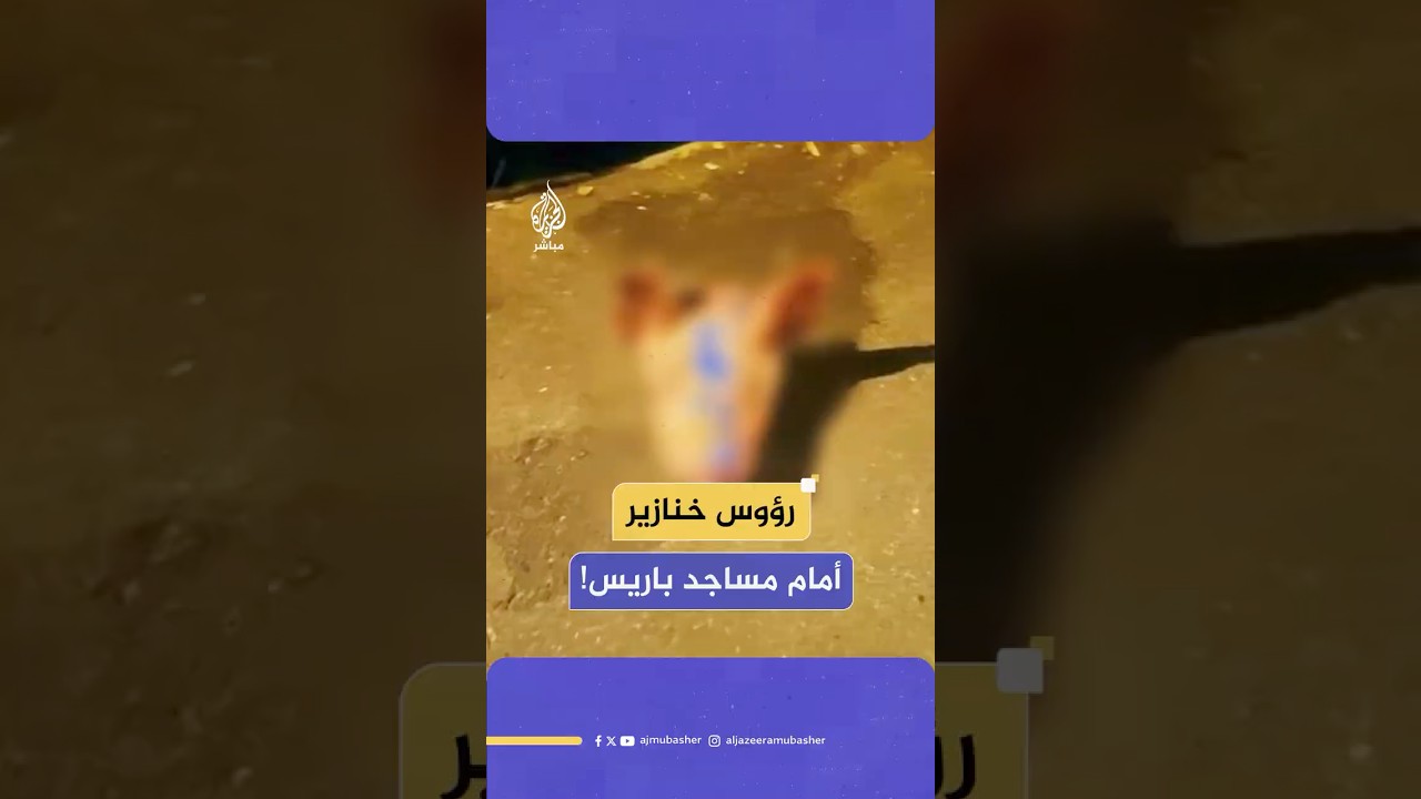 في استفزاز لمسلمي #فرنسا.. العثور على 9 رؤوس خنازير وُضعت أمام عدد من المساجد في باريس وضواحيها