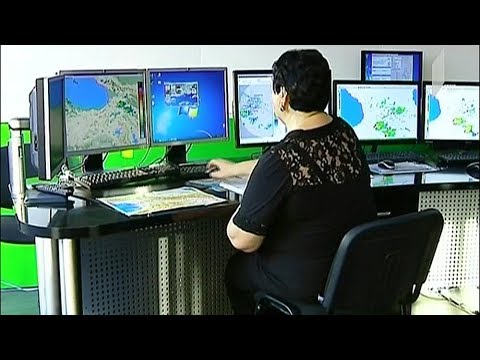 სინოპტიკოსების პრონოზი