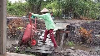 As the tide rises, here's how the people of Rantau are anticipating flooding in their fishponds a...