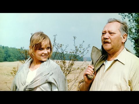 České filmy 1981
