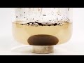 Cleaning up my ferrofluid waste