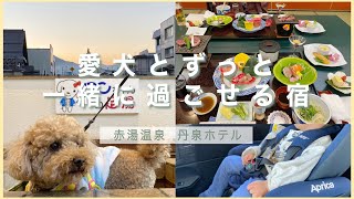【赤湯温泉 丹泉ホテル】山形県｜南陽市｜赤湯｜温泉｜息子と愛犬と一緒にリフレッシュしてきました♨️