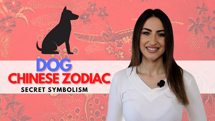 DOG Chinese Zodiac Sign - Secret Symbolism Revealed! - DayDayNews