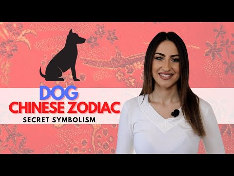 Wideo: Dog Astrology: Sun Sign Characteristics