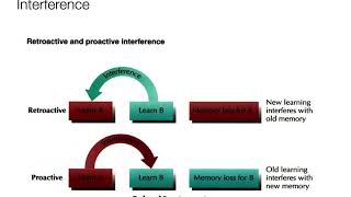 Introduction to Psychology:6.3 - Memory- Forgetting