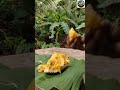 Eating Fresh Jungle Jackfruit in Sri Lanka 🌿🍈 | Natural Village Life