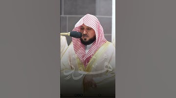تلاوة بهيّة من سورة هود | تلاوة فضيلة الشيخ د.#ماهر_المعيقلي
