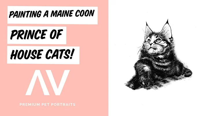 Video 831671: little maine coon kitten, pretty maine coon, pets