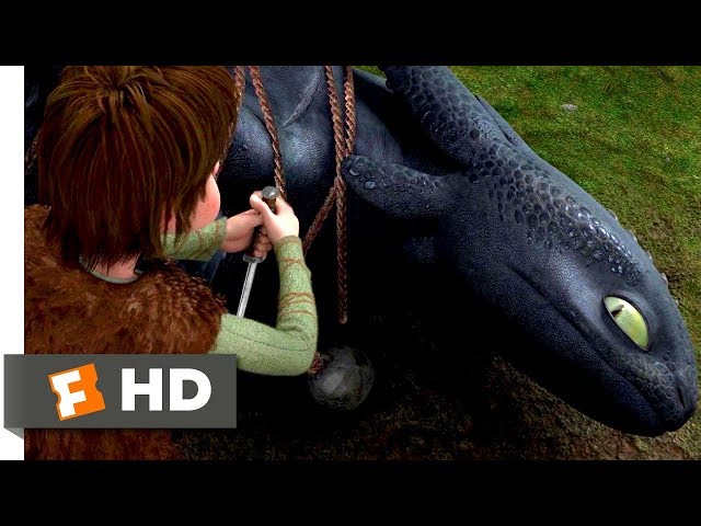 How to Train Your Dragon - A Boy and a Dragon