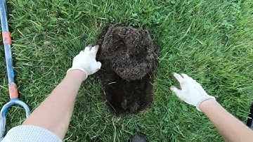 LIVE DIG ACTION!! Nokta Legend in the iron with an odd hand forged find.