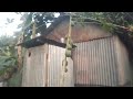প্রথম বার ভিডিও আপলোড করা 🤭🤭