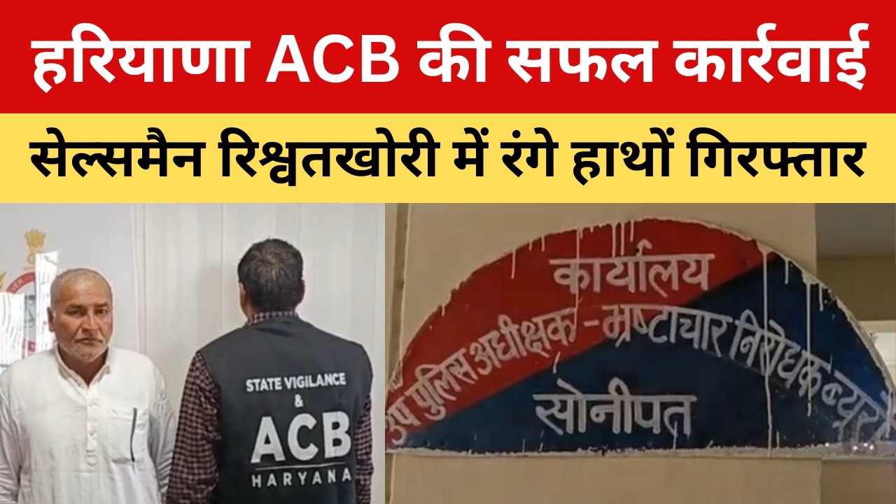 सोनीपत ACB की बड़ी कार्रवाई: कोऑपरेटिव सोसाइटी सेल्समैन रिश्वत लेते रंगे हाथों गिरफ्तार| P24 News
