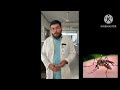 Slogan for dengue 🦗🦗