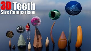 100 Animal, Dinosaur, and Sea Monster Teeth 3D Size Comparison
