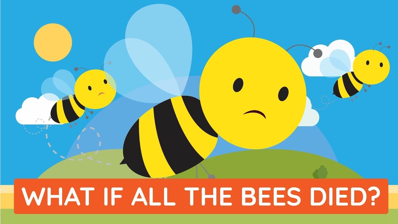 What happens if the bees disappear What happens if the bees disappear